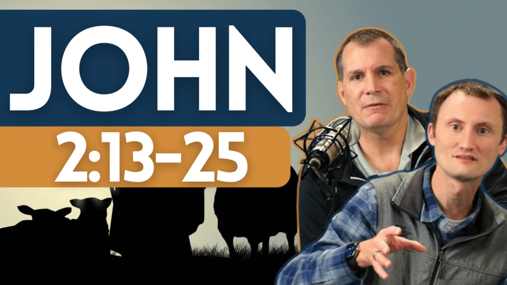 John 2:13-25