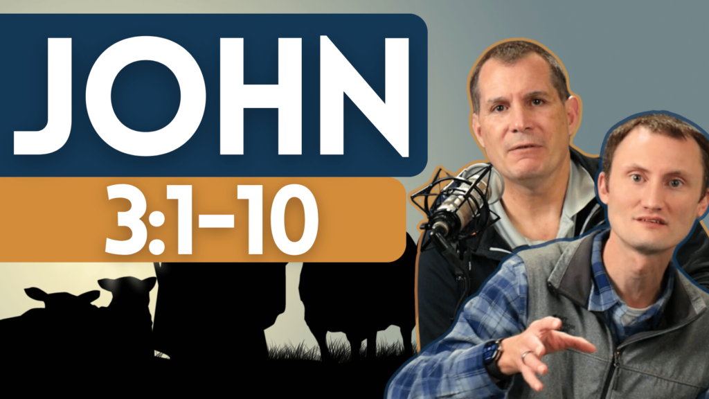 John 3:1-10