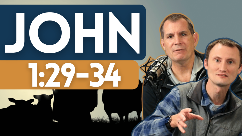 John 1:29-34
