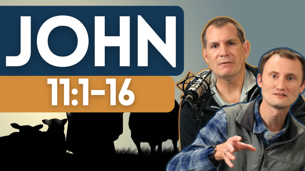John 11:1-16