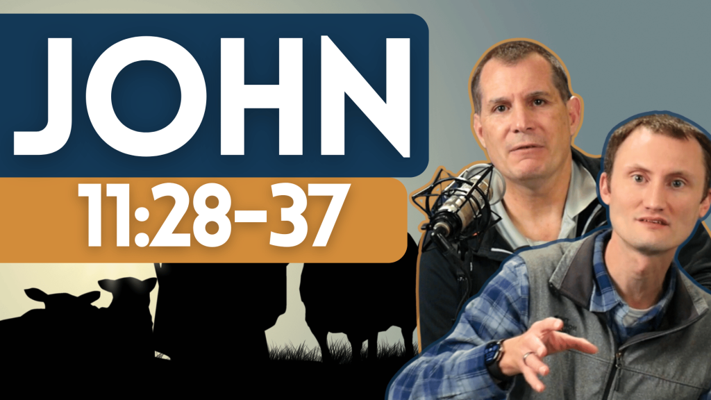 John 11:28-37