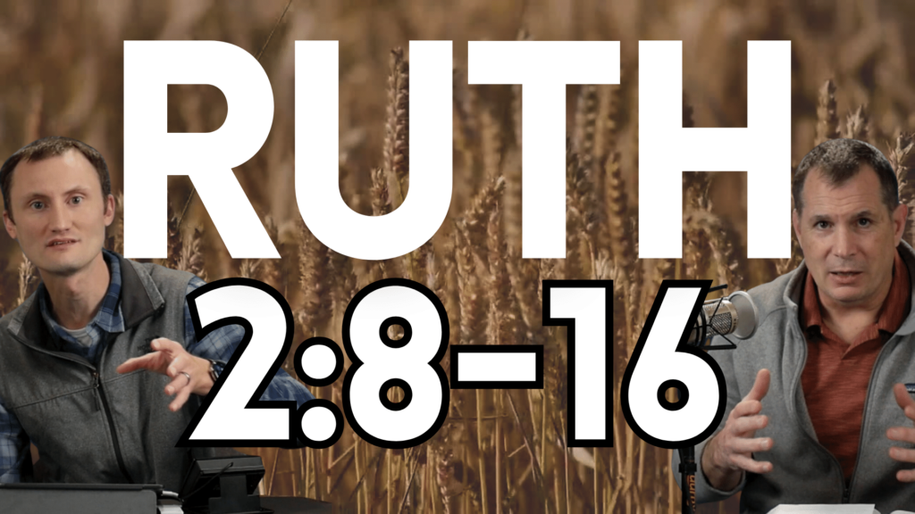 Ruth 2:8-16