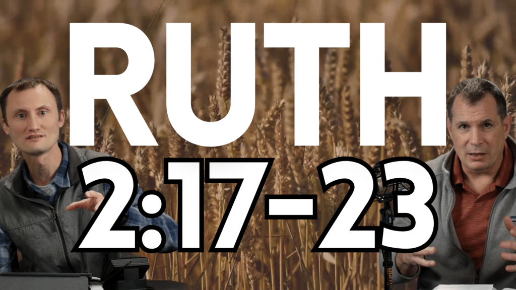 Ruth 2:17-23