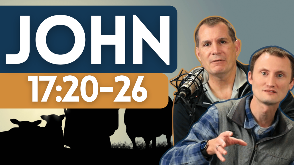 John 17:20-26