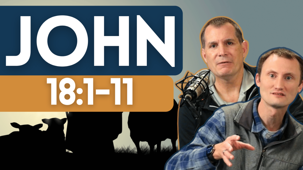 John 18:1-11