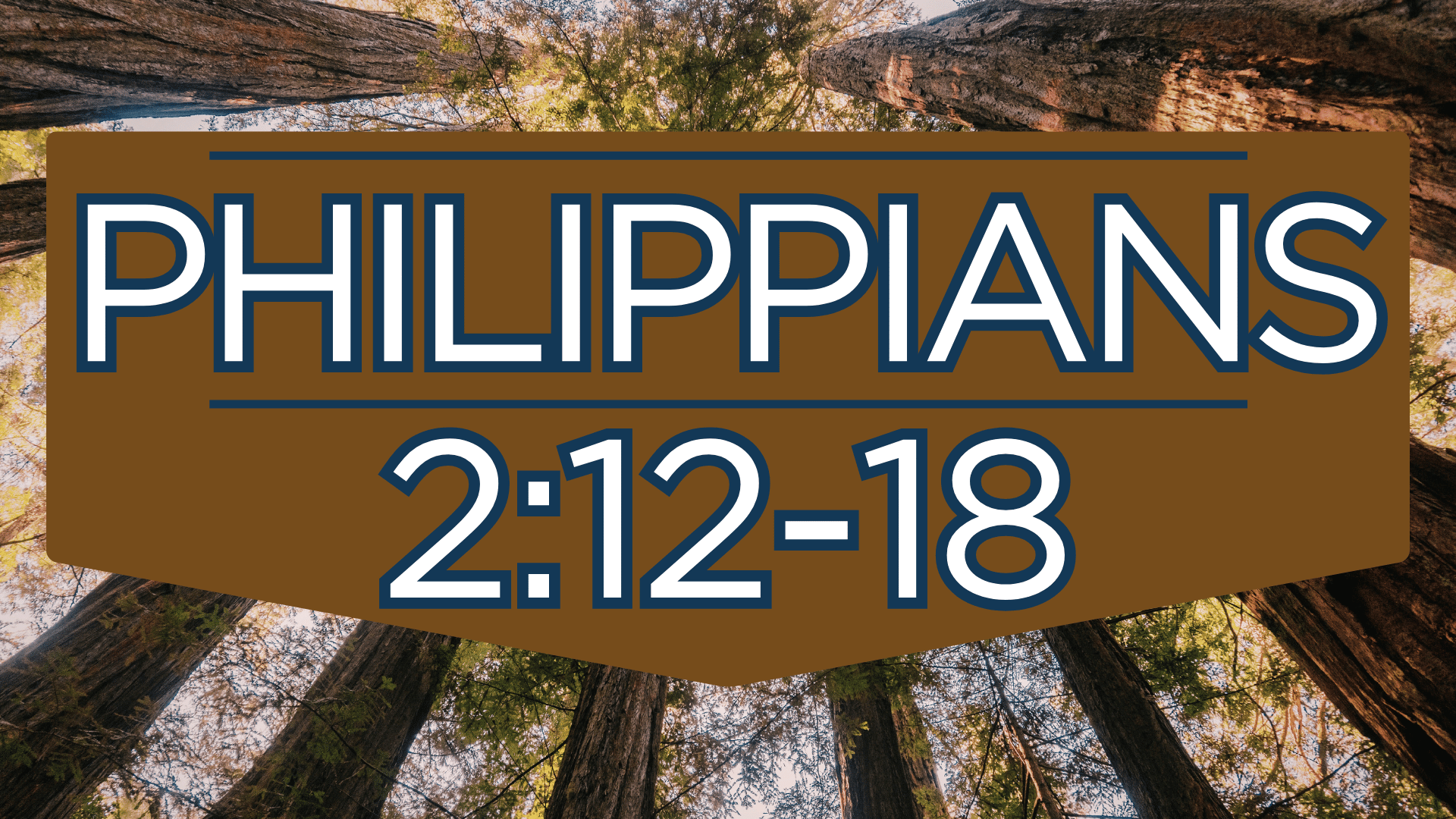 Philippians 2:12-18