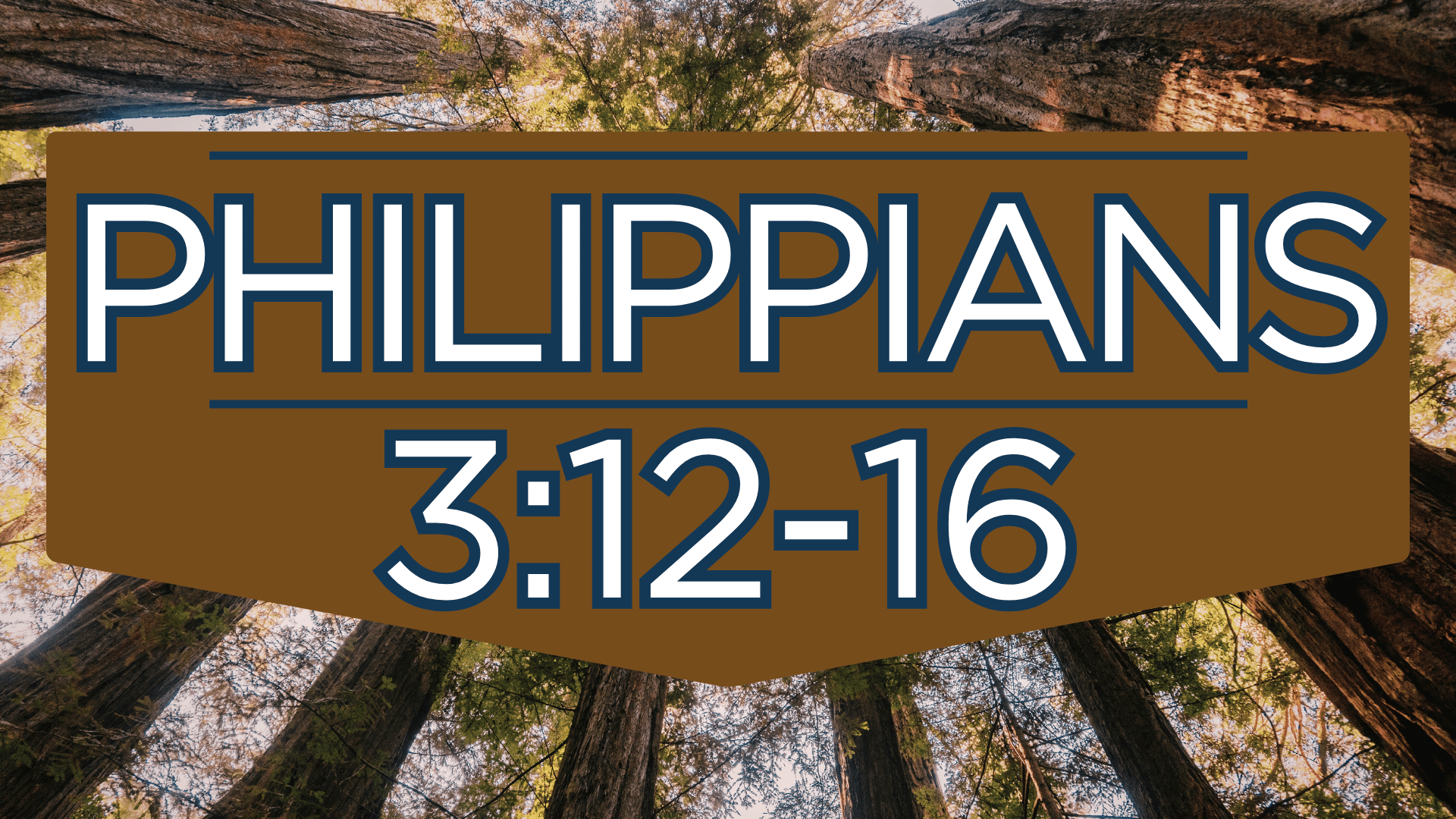 Philippians 3:12-16