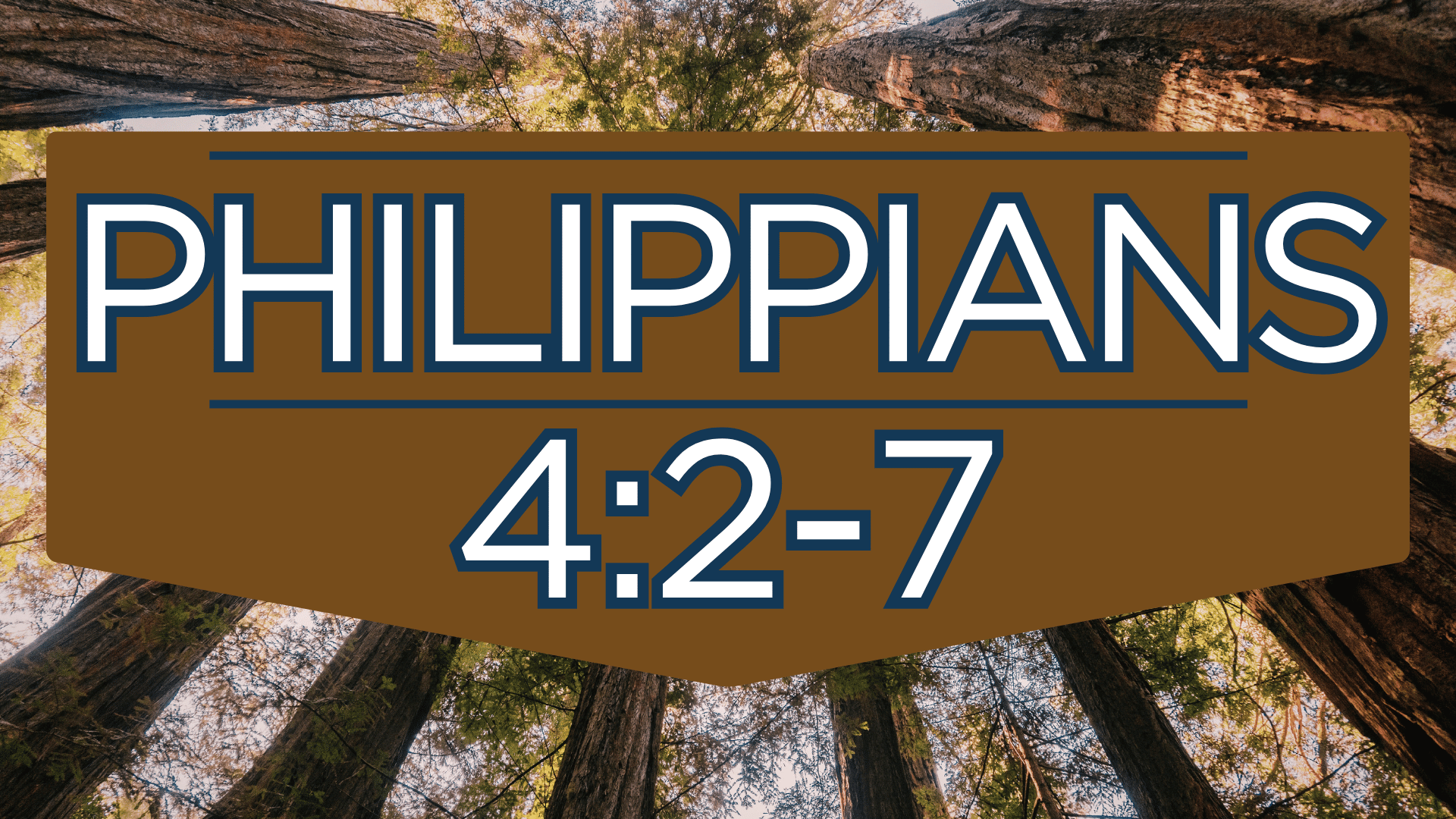 Philippians 4:2-7