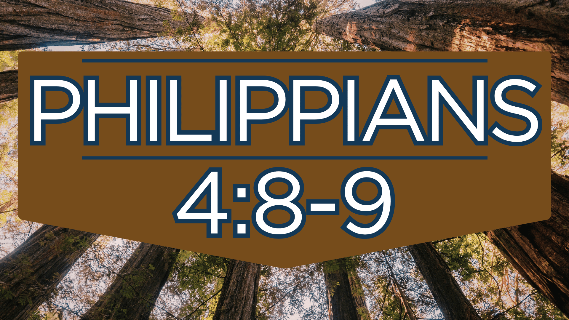 Philippians 4:8-9